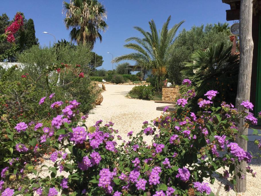 Il Colle Del Rustico Bed & Breakfast Agrigento Luaran gambar