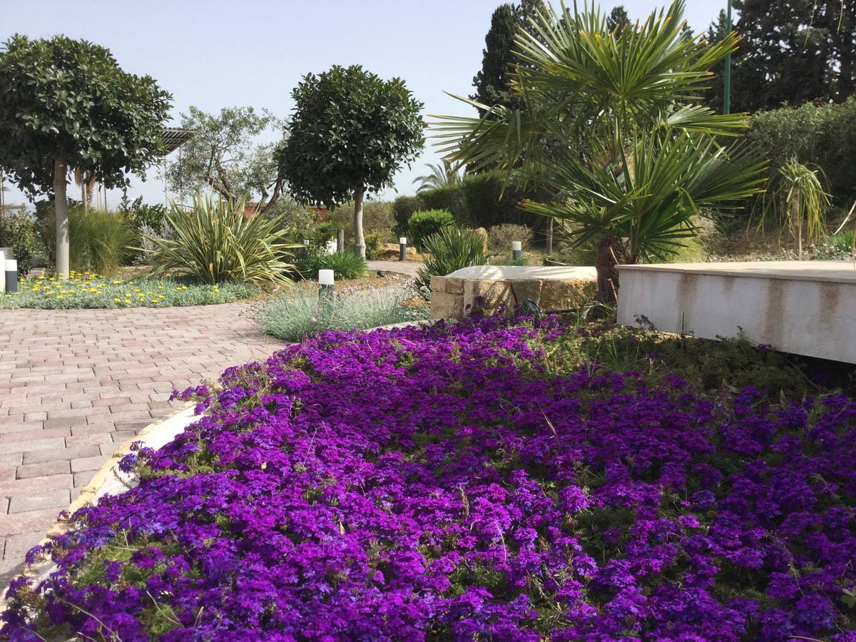 Il Colle Del Rustico Bed & Breakfast Agrigento Luaran gambar